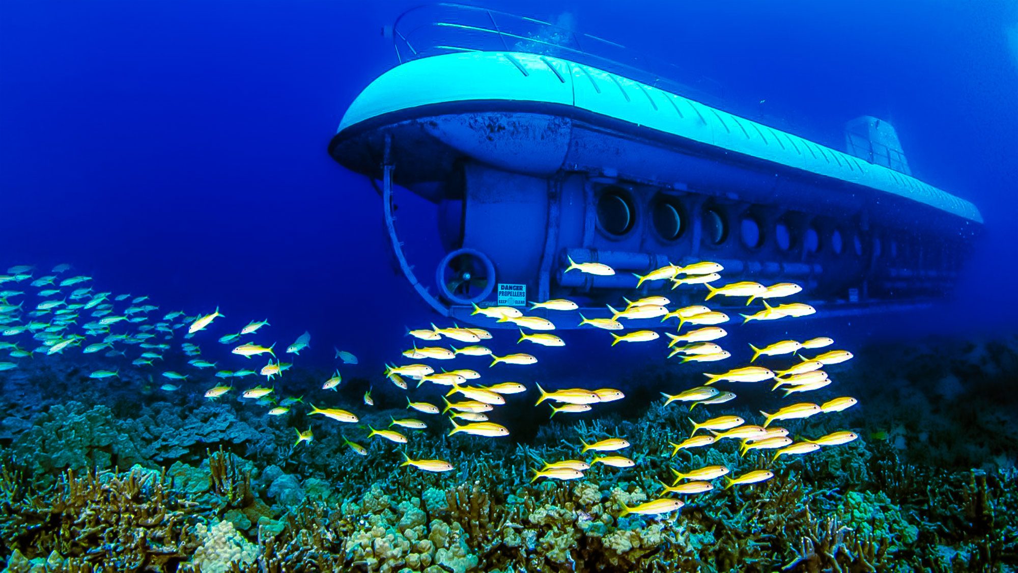 kona hawaii submarine tour