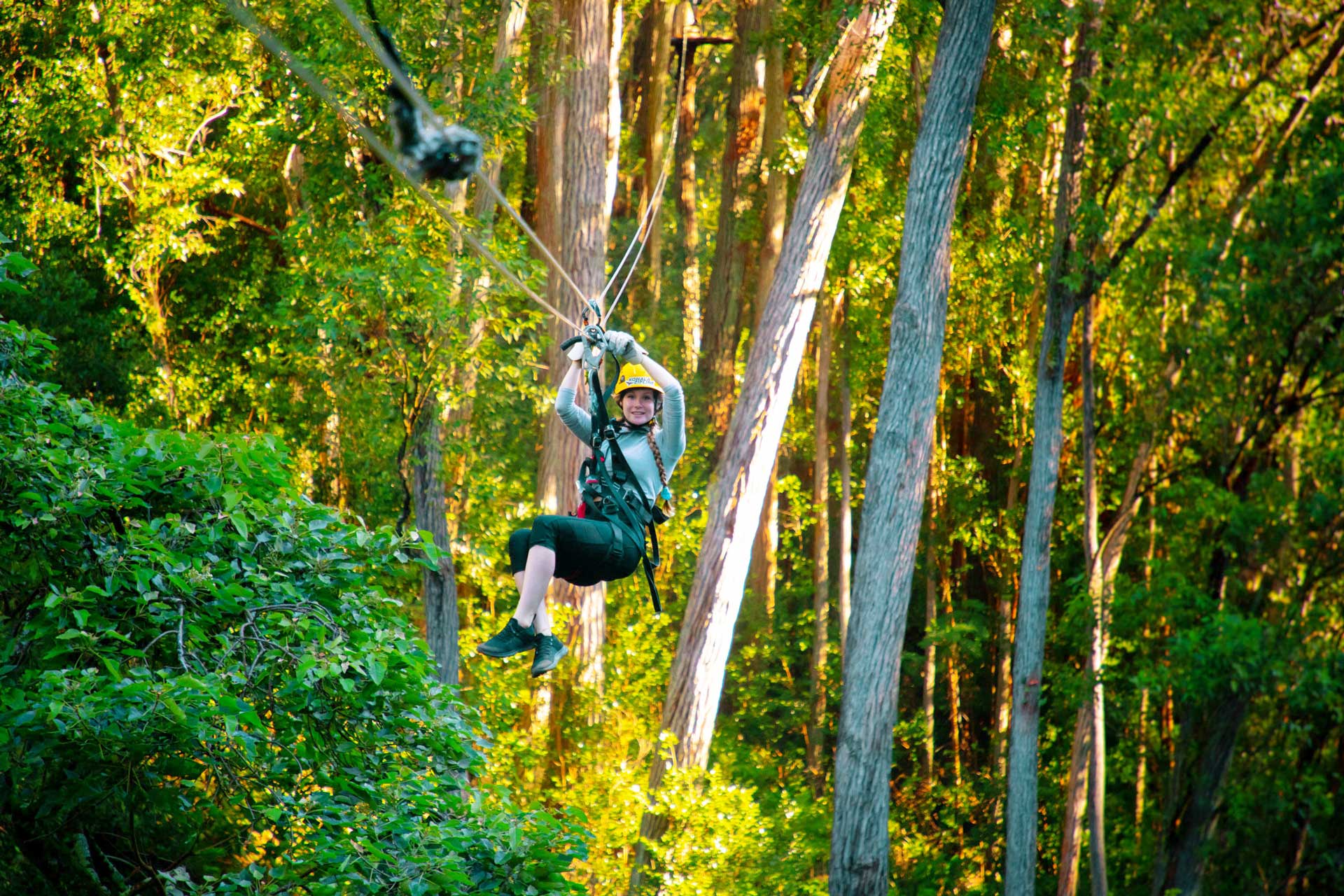 North Kohala Canopy Zipline Tour | Big Island Zipline