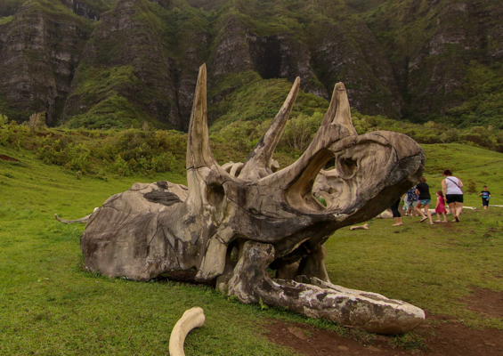 Kauai Movie Tv Day Tour From Oahu Dinosaur Scene 