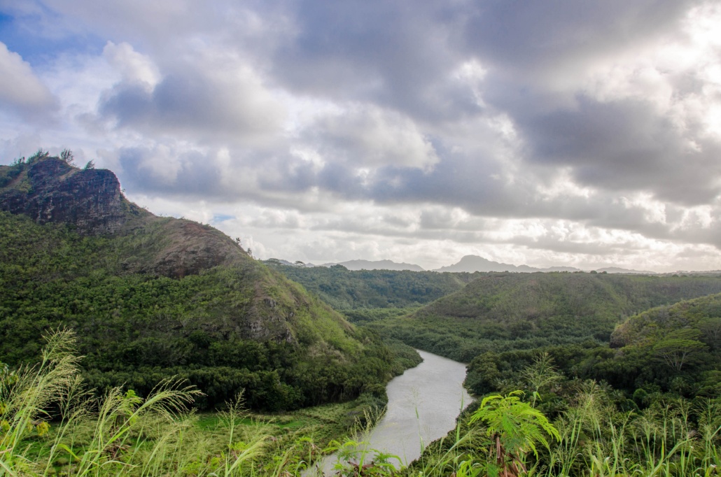 Kauai Waimea & Fern Grotto | One Day Tour From Oahu To Kauai