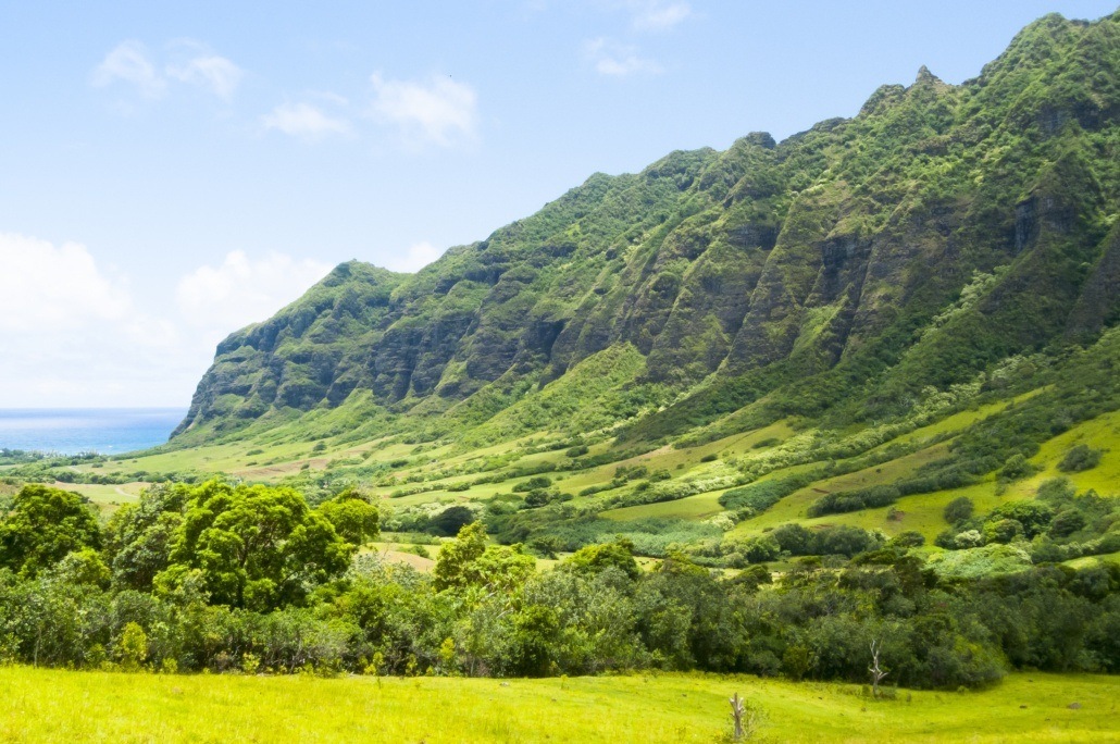 Jurassic Valley Zipline Adventure Hawaii Tours And Activities