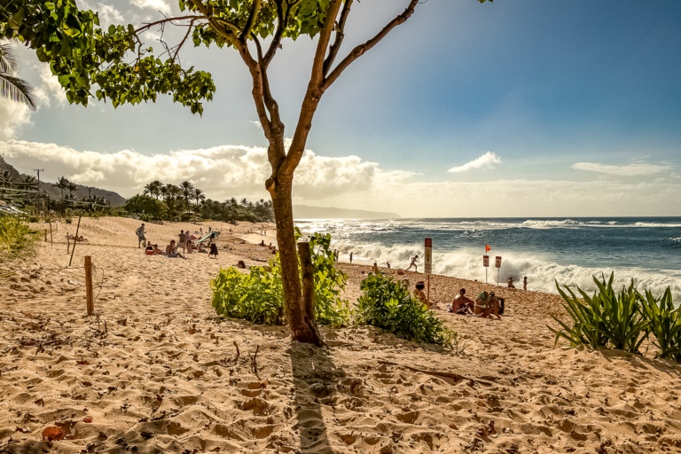 North Shore Beaches Oahu