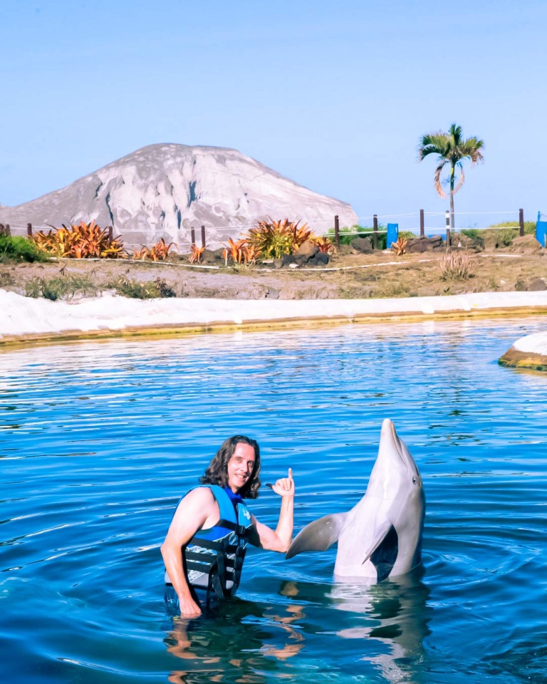 join us for fun filled activities at dolphin encounter sea life park hawaii