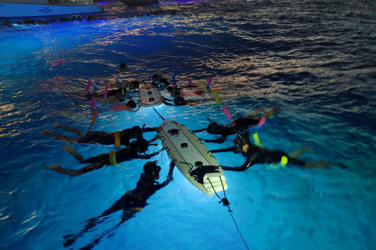 Torpedotours Night Manta Ray Night Snorkel Group