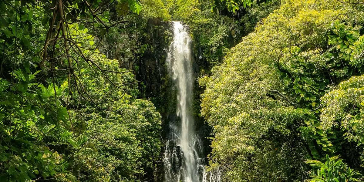 Kohala Waterfalls Adventure | Hawaii Tours and Activities