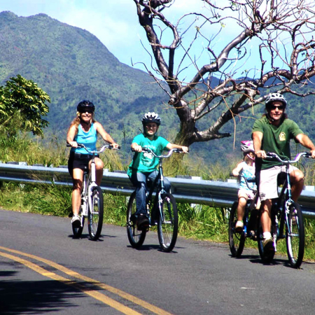 A Unique Opportunity To Explore Hawaiis Natural Wonders Bike Hawaii Oahu Island Product