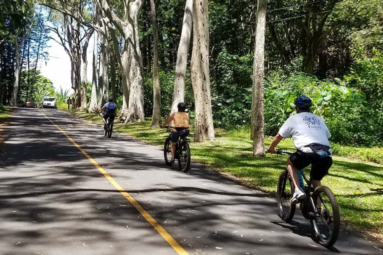 Bikehawaii Oahu Waterfall Hike And Bike Downhill Tour Ride Bike Through Forest