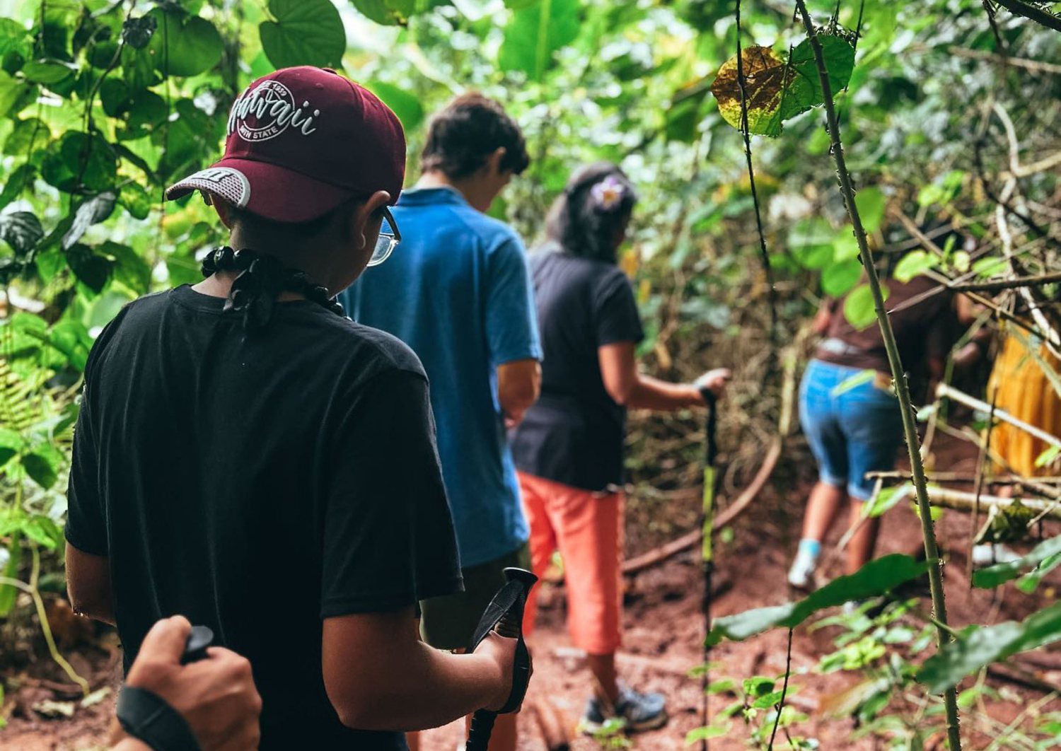 Volcanic Rain Forest Hike | Best Hawaiian Hiking Adventure