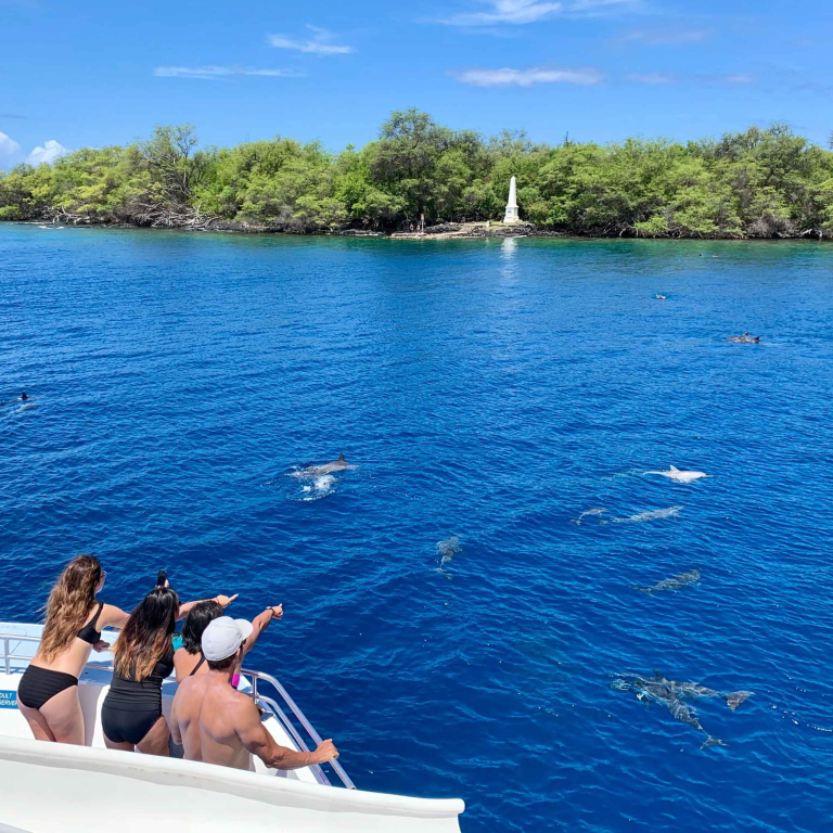 Deluxe Kona Snorkeling Tour And Dolphin Watch Tourist Watching Dolphin