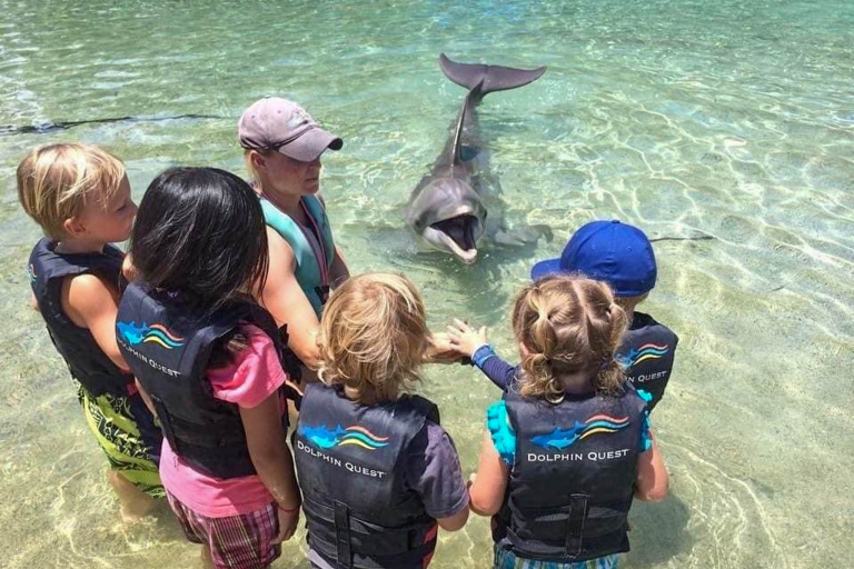 Dolphin Quest Waikoloa Dolphin Encounter Group