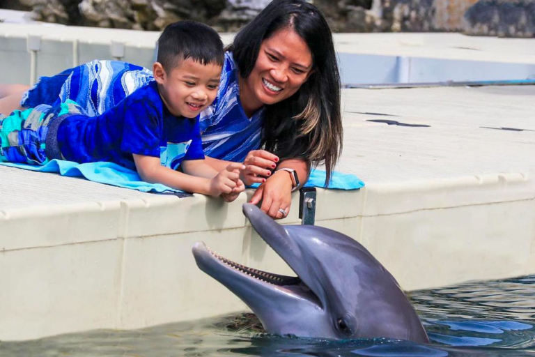 Dolphin Quest Waikoloa Dolphin Encounter Mom And Son
