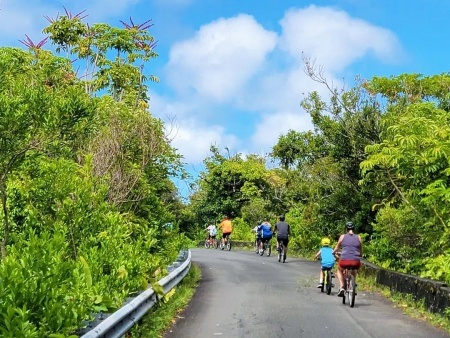 great views of oahu and rainforest bike hawaii oahu island