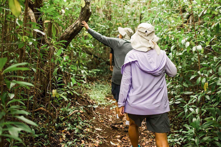 Helewaiecotours Mahana Ridge Trail Hike Guests In Jungler Feature