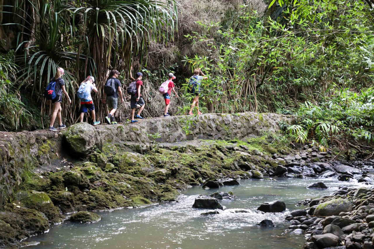 Hikemaui Maui Waterfall Rainforest Hike On The Road To Waterfall