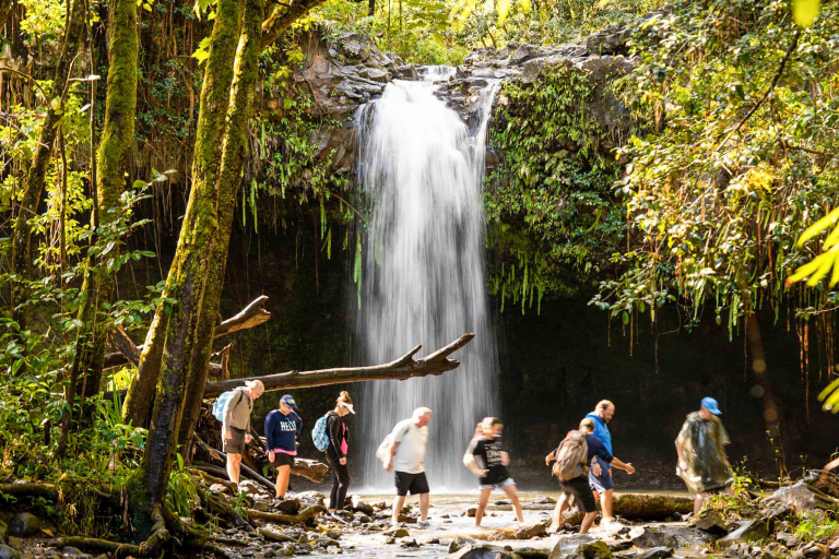 Hikemaui Maui Waterfall Rainforest Hike Waterfall And Guests