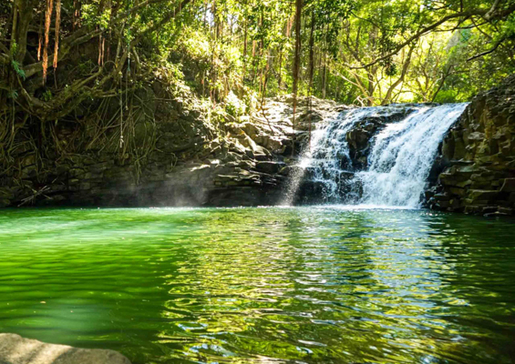 Hikemaui Maui Waterfall Rainforest Hike Waterfall Stream Slider