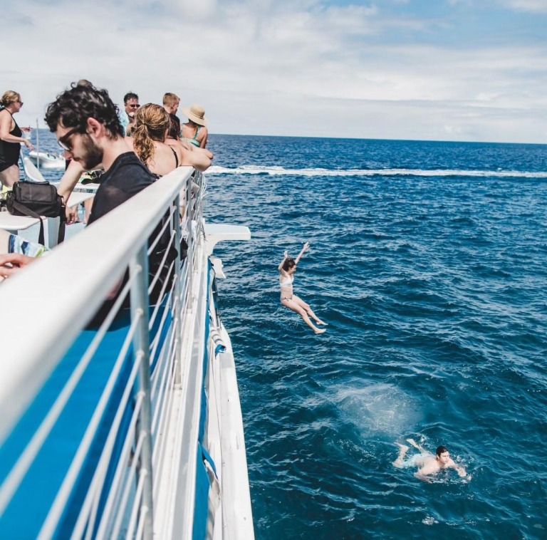 kona snorkeling tour and dolphin watch body glove hawaii 