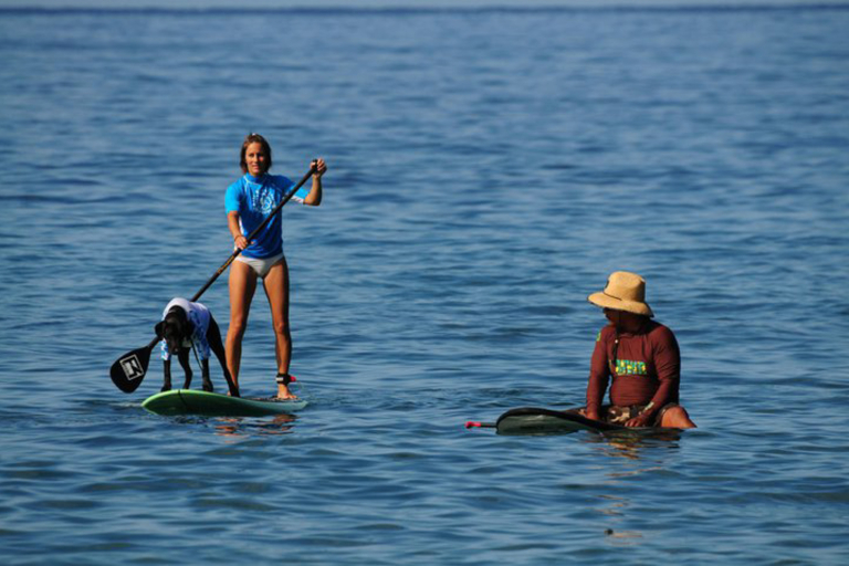 Mauiwaveriders Maui Stand Up Paddle Board Stand Up Paddle Couple