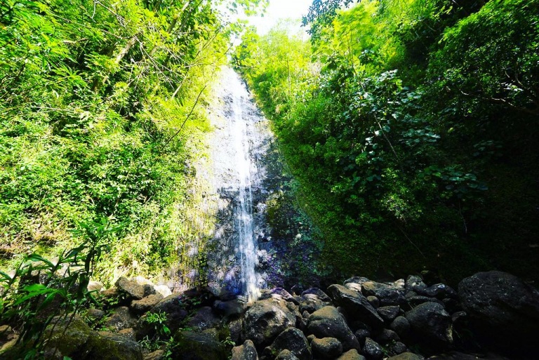 oahu waterfall hike and downhill bike tour bike hawaii