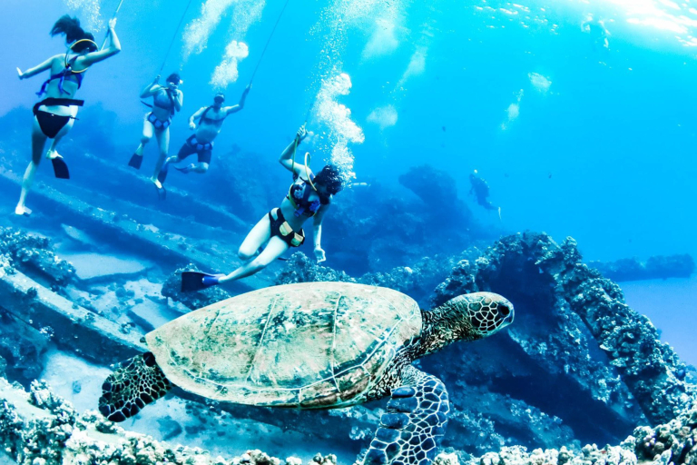 Sailtrilogy Discover Lanai Snorkel Cruise Snuba With Turtle