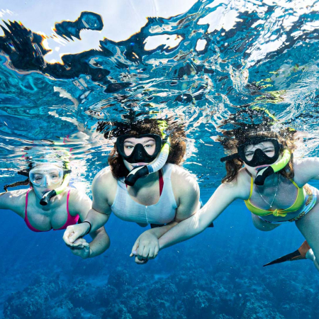 Snorkel On Maui With Amazing Marine Life Molokinimaui Product