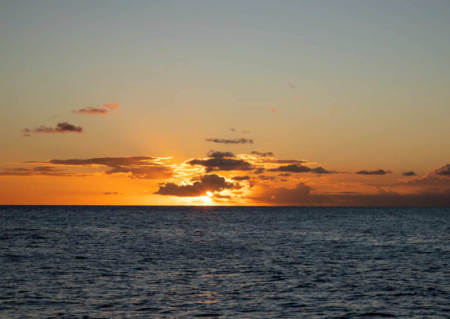 Star of Honolulu | Best Hawaii Sunset Dinner Cruise