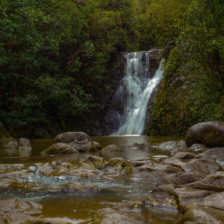 Tropical Rainforest Waterfall Hawaii Oahu Product