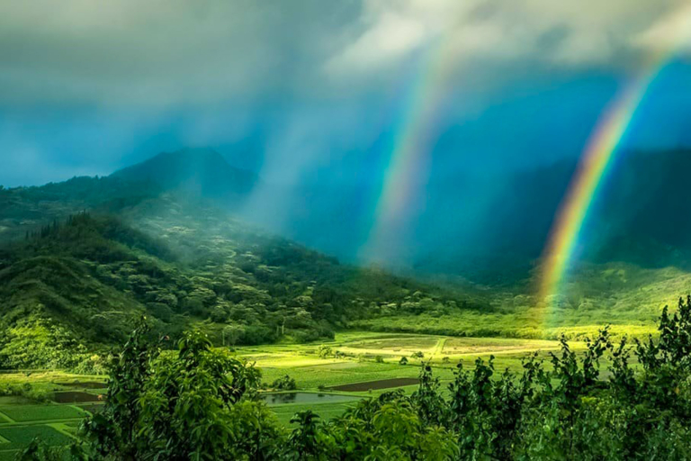 Ultimate Kauai Kelicopter Tour Kauai Taro Fields Rainbow