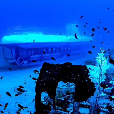 Waikiki Submarine Discovery Dive  Atlantis Adventures Product