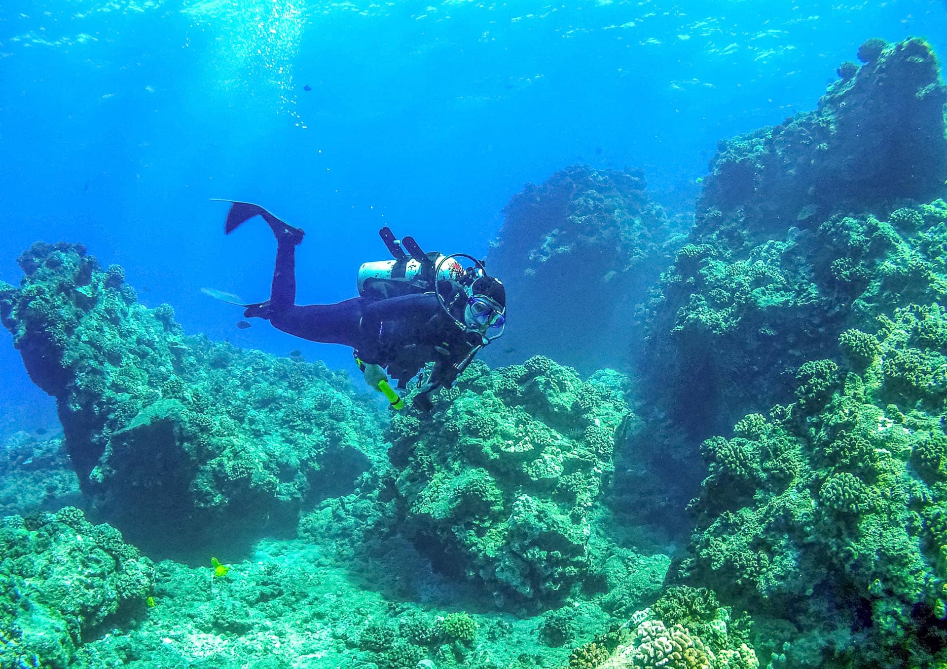 scuba diving tours maui