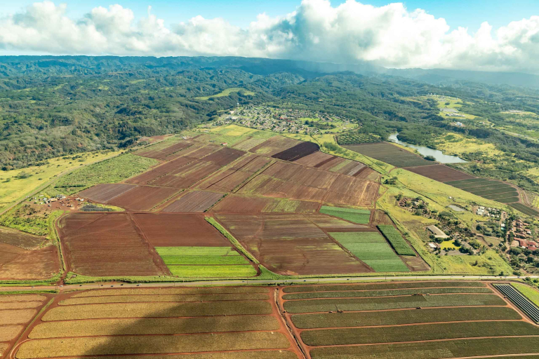 Oahu Complete Helicopter Tour Dole Plantation Aerial Pineapple Fields Oahu