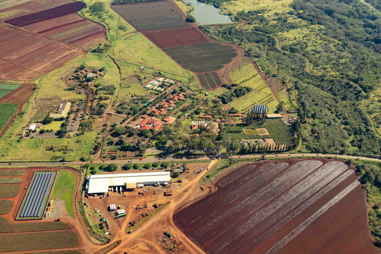 Oahu Complete Helicopter Tour Dole Plantation And Fields Aerial Oahu