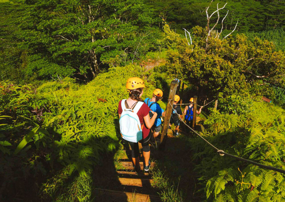 Kauai Lihue Zipline A Truly Unique Zipline Experience Kauai Backcountry Adventures Slider