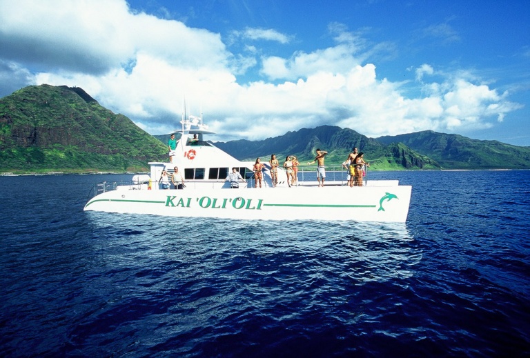 coastal sightseeing snorkeling ocean joy cruises