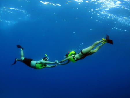 Oceanjoycruises Waianae Snorkeling And Dolphin Watch Couple