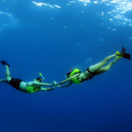 Oceanjoycruises Waianae Snorkeling And Dolphin Watch Couple