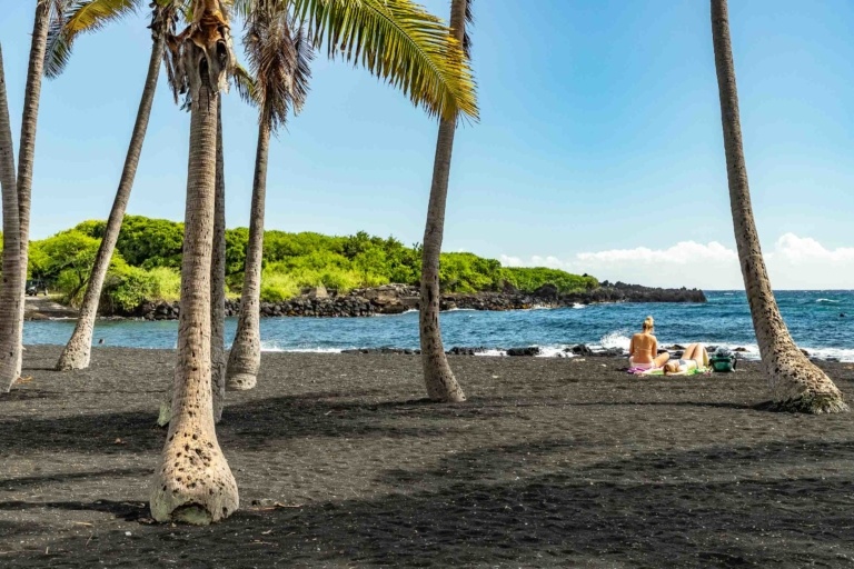 Punalu'u Black Sand Beach and Coconut Trees Big Island