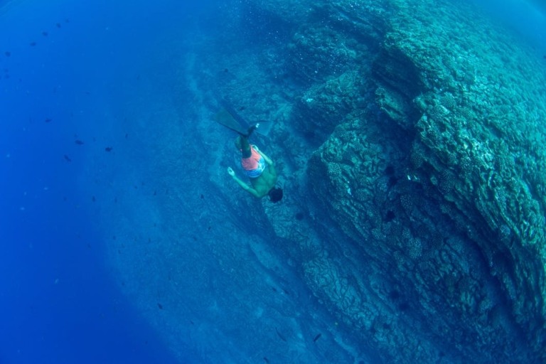 Snorkeling In Holo Holo Charters Kauai