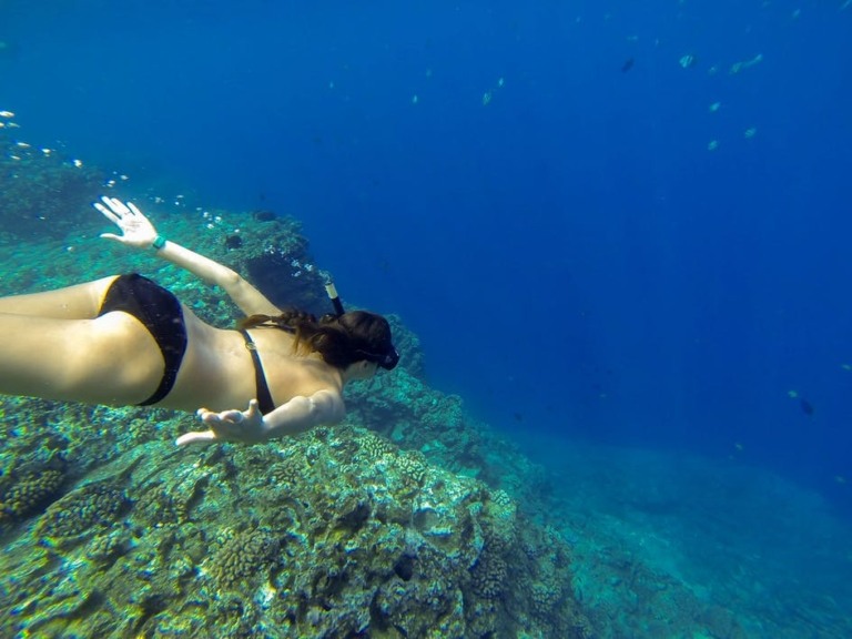 Snorkeling Niihau In Holo Holo Charters Kauai