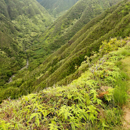 Couple On Hike Waihee Ridge Trail Maui Product