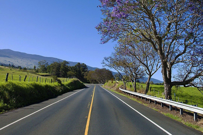 Enjoy The Scenery Of Upcountry Maui In A Whole New Way Bike Maui Product Images