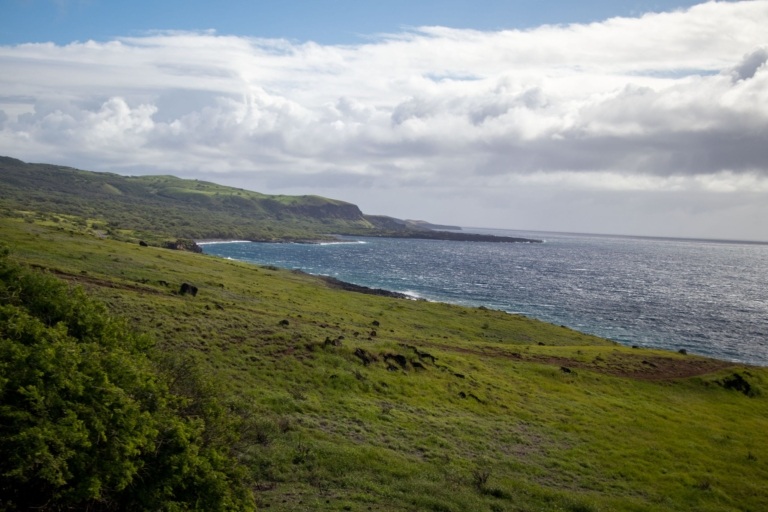 Maui Nuu Backside Coastline