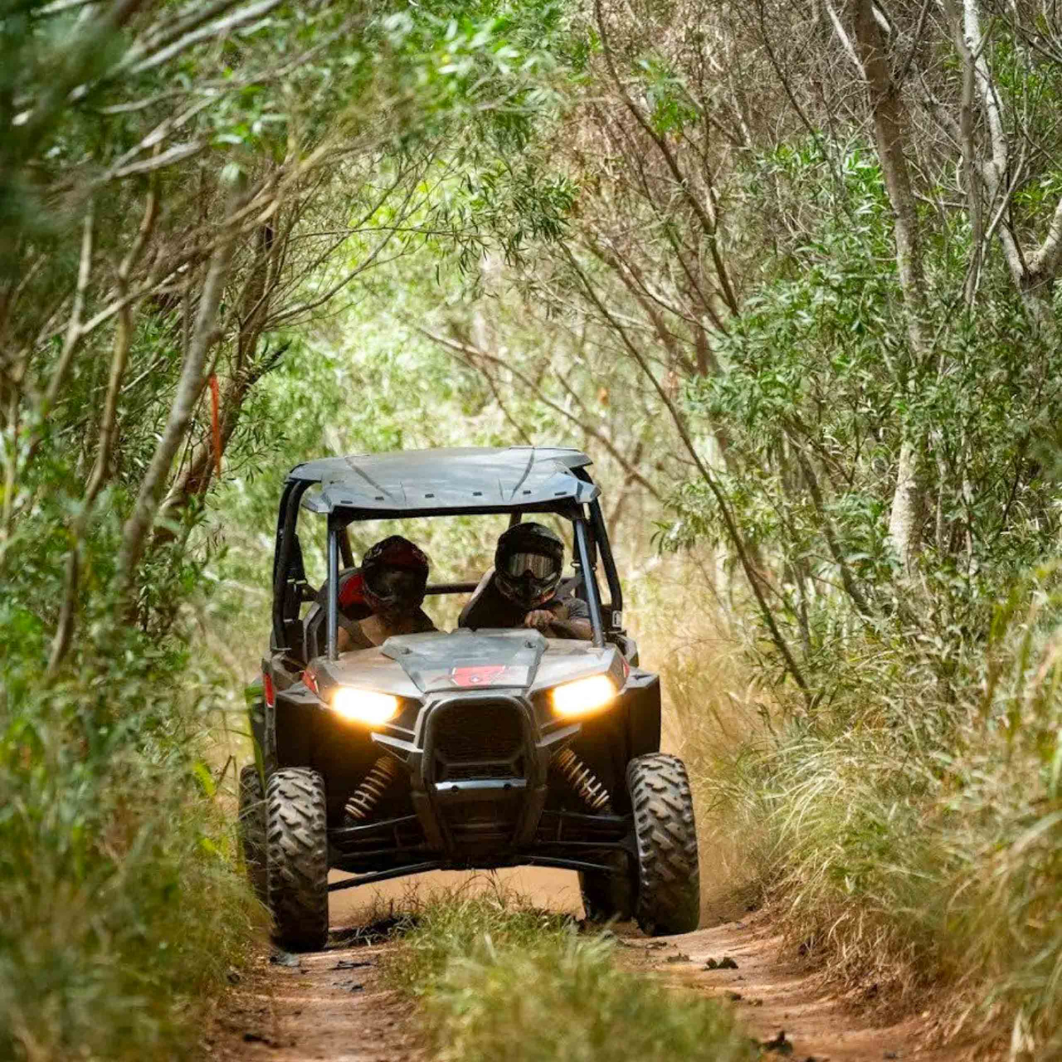 Lahaina ATV Off-Road Adventure | Hawaii Tours & Activities