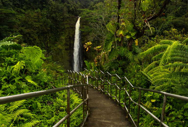 akaka falls state park big island hawaii