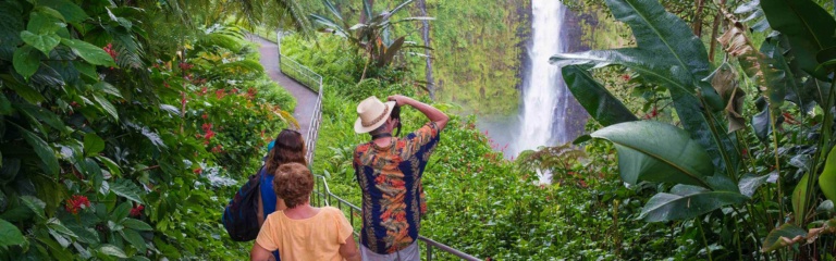 Akaka Falls Wasibi Hawaii Tours