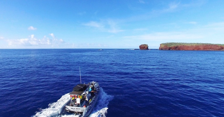 experience the islands sea cliffs remote snorkel spots and dolphin watching lanai maui hawaii ocean rafting