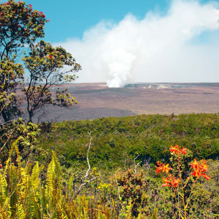 Explore The Volcanoes Of Hawaii Island See Kilauea Up Close Big Island