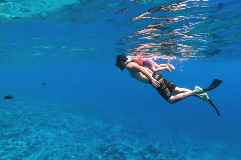 Sailmaui Lanai Coas Snorkel Feature Coral Reef Dive