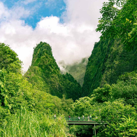A Journey Through Lush Green Kukui Nut Trees In Iao Valley Maui
