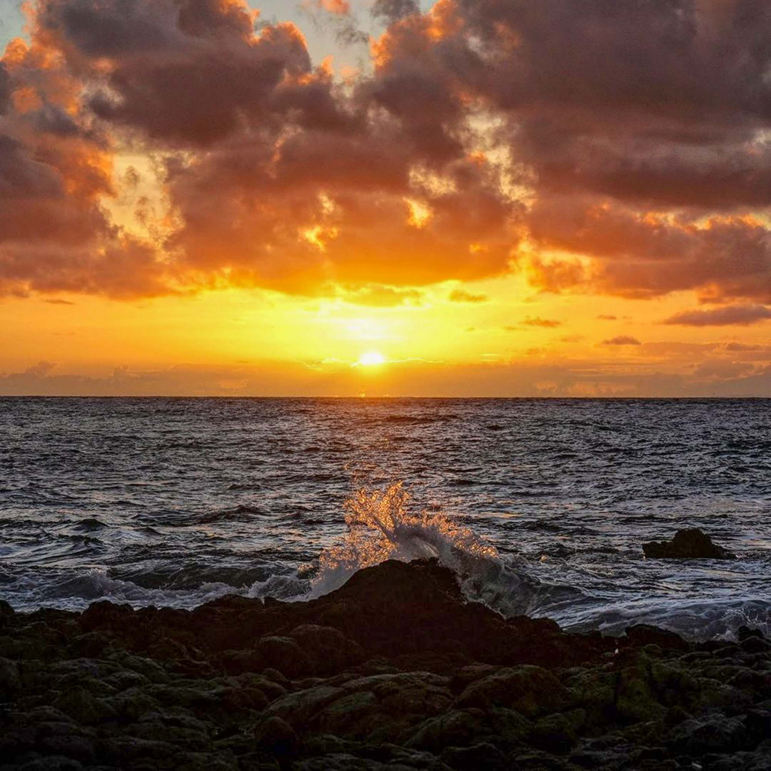 Oahu Sunrise Photo Tour | Oahu Tours And Activities